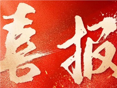 双喜临门|意昂娱乐集团成功中标国家电网总部采购项目、内蒙古电力公司采购项目，总中标金额超3.6亿元！