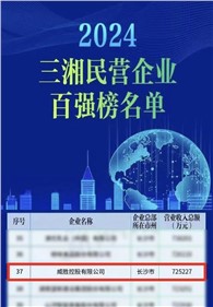 喜讯｜意昂娱乐控股上榜2024三湘民营企业百强榜单，排名第37位